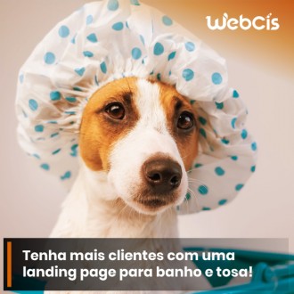 Como uma Landing Page Pode Aumentar a Visibilidade do Seu Serviço de Banho e Tosa de Pets