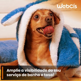 Sites Eficientes para Serviços de Banho e Tosa de Pets em São Paulo: Amplie Sua Visibilidade e Ganhe Novos Clientes